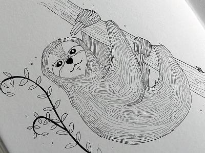 Woodland Creature Collection: Sloth animals fauna flora illustration ink pen sloth