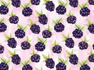 Blackberries antioxidant food berries blackberries food illustration food pattern fruit healthy pattern pink purple superfood