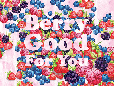 Mixed Berries antioxidants berries blackberries blueberries diet food illustration fruit healthy healthy eating lifestyle raspberries strawberries