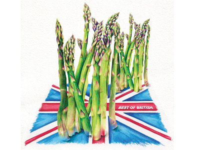 Food illustration- Best of British