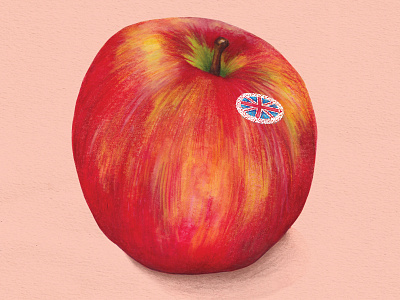 Food Illustration British Apples british apples british produce food illustration healthy diet healthy eating juicy fruit