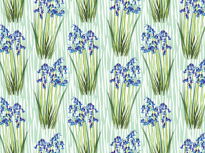 Bluebells Pattern bluebells british wild flowers floral flowers nature pattern spring wild flowers woodland