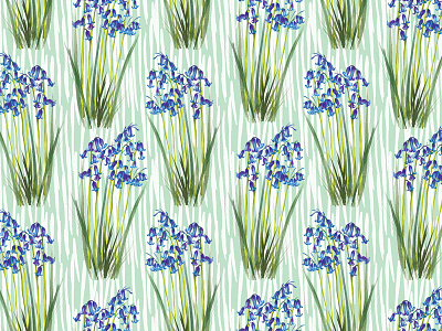 Bluebells Pattern