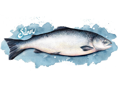 Food Illustration Salmon fish food illustration healthy eating lifestyle nature omega 3 salmon seafood watercolour