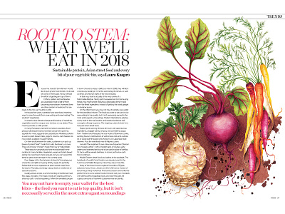 Watercolour Food Illustration Editorial Root Vegetables