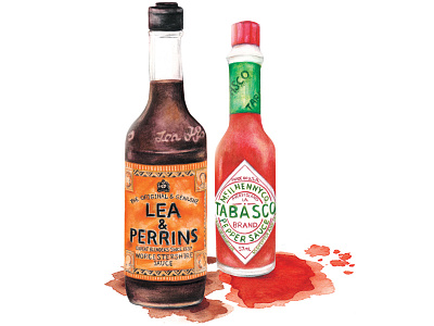 Watercolour Food Illustration Tabasco And Worcestershire Sauce tabasco watercolour food illustration worcestershire sauce