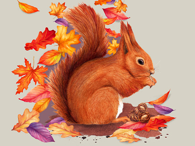 Watercolour Animal Illustration Red Squirrel animal illustration autumn autumn leaves fall nature red squirrel wildlife illustration woodland