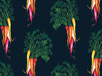 Watercolour Food Illustration Heritage Carrots Pattern