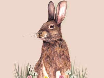 Watercolour Rabbit Animal Illustration bunny countryside cute animals illustration nature nature illustration rabbit