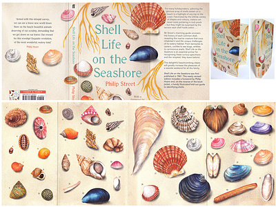 Shell Life On The Seashore Book Cover Illustrations beach beachlife book cover book cover design coast illustration nature publishing seaside shells watercolour illustration