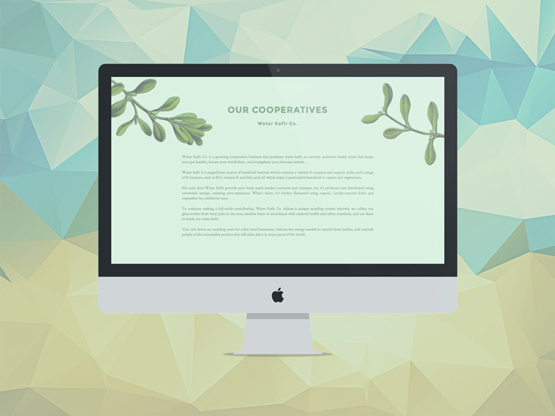 Eco-friendly Web Design By Sarah Ball On Dribbble