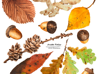 Autumn pattern botanical art branding design drawing illustration leaf nature pattern print