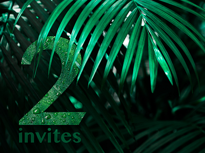 Dribbble invites dribbble green invitation invite invites nature palm palmtree typography ui ux web