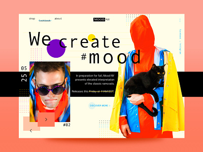 Mood NY cat colorful fashion interface lifestyle lookbook mood streetwear ui ux web webdesign