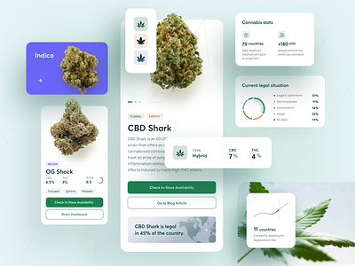 CBDIOL - Cannabis Blog app blog cannabis cbd design ios leaf mobile thc ui ux website weed