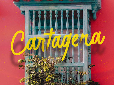 Cartagena art book calligraphy lettering print type