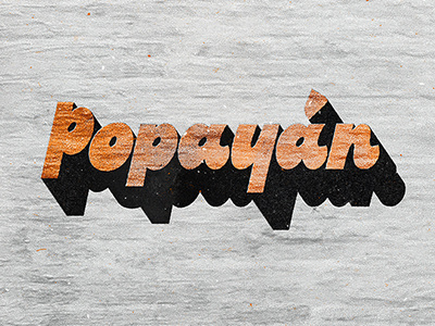 Popayan art book calligraphy lettering print type