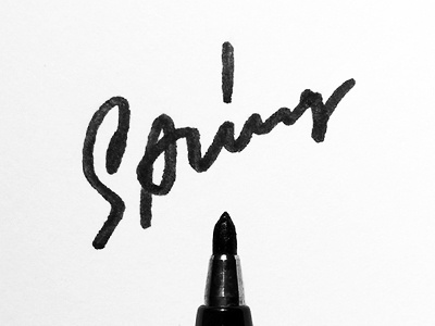 Spring calligraphy design font lettering logo logotypes print spring type typography