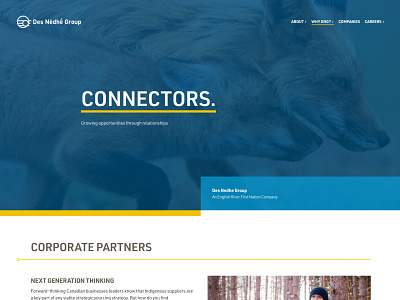 Des Nedhe Website animal desktop first nations indigenous nature web design website