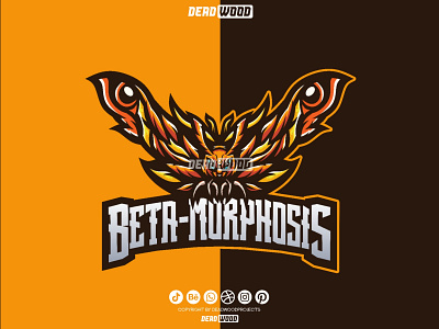 Mothra illustration branding design graphic design illustration logo vector