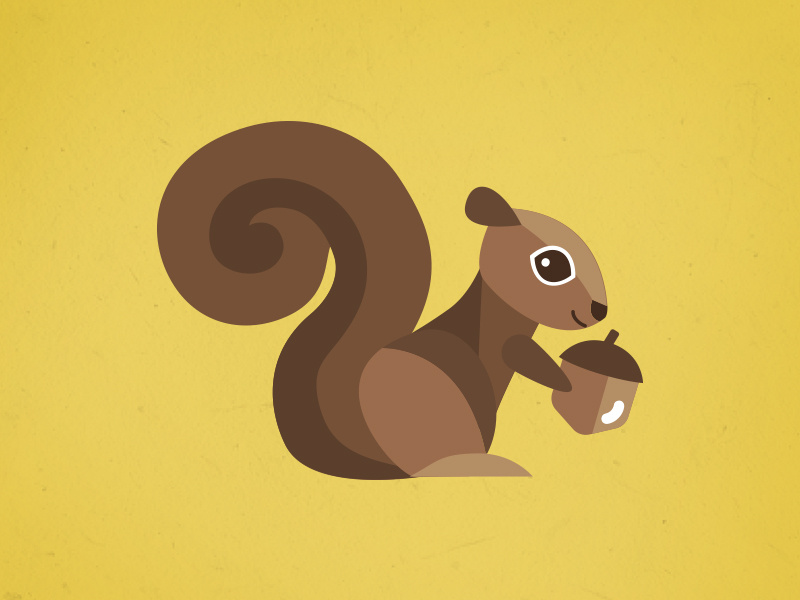 Squirrel Illustration woodland creatures animal fall autumn acorn vector illustration nature illustration squirrel