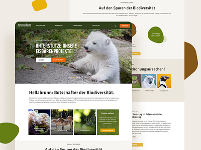 Website for the zoo in Munich animals design ui web webdesign website zoo