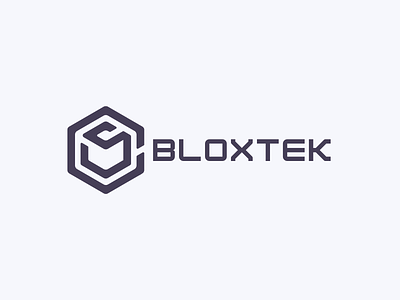 Bloxtek Logo branding design logo