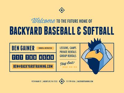 Backyard Baseball & Softball Web Placeholder color graphic design illustration logo type web design