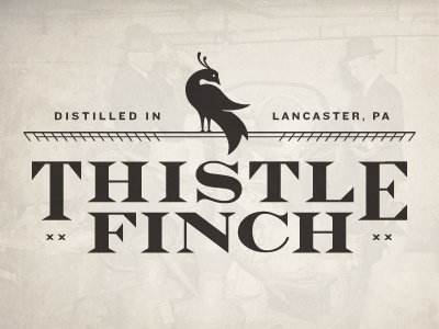 Thistle Finch Distillery Logo alcohol black branding distillery illustration liquor logo minimal prohibition typography vintage whiskey