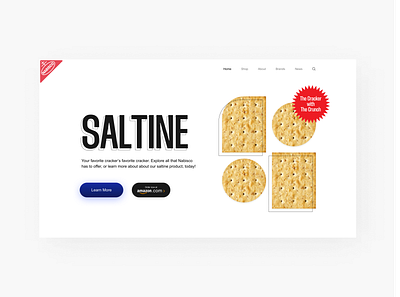 Saltine Crackers Landing Page ui web design web ui