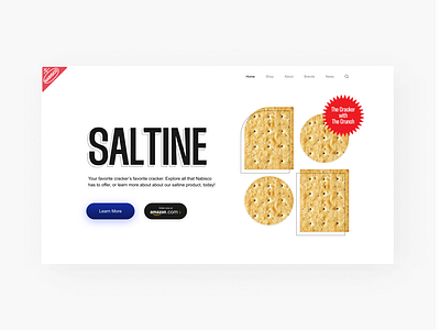 Saltine Crackers Landing Page