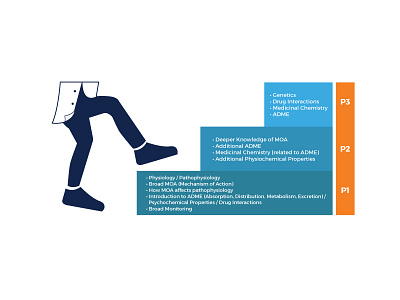 Practice-Ready Curriculum Model Illustration