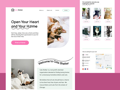Website Design "Cats Shelter" (Concept: Minimorphism style) design ui ux