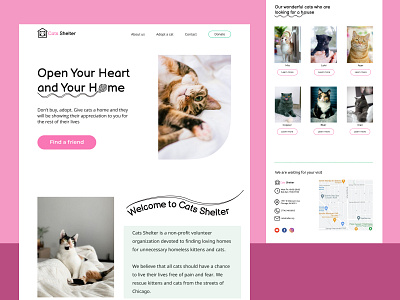 Website Design "Cats Shelter" (Concept: Minimorphism style)