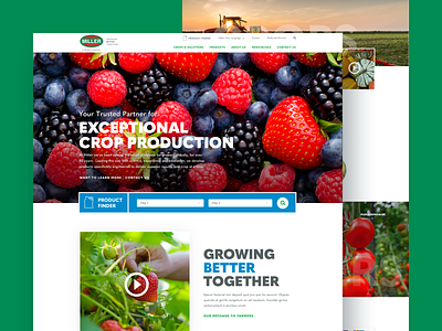 Miller Web Redesign agency agriculture crops design emagine farming fruit green homepage modern sketch ui ux web design wordpress