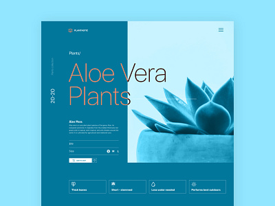 Aloe Vera Plant Product Page Concept