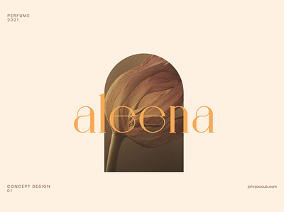 Aleena | Concept branding brand branding clean concept design flat illustration logo logo design logo design concept logo designer minimal mobile typography