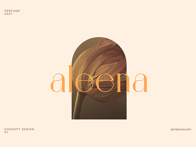 Aleena | Concept branding