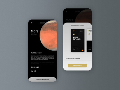 Space Tour Ticket Concept clean concept creditcard design mars payment payment app payments space space exploration ui uidesign uiux uiuxdesign ux uxdesign