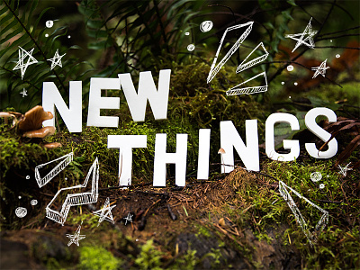 NEW THINGS illustration nature photo photography picture tablet type typography