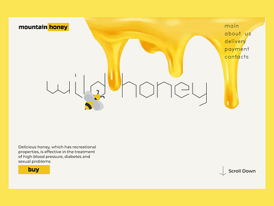 Home screen for wild himalayan honey store branding design vector
