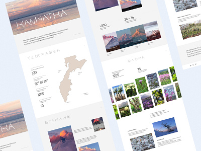 Kamchatka design kamchatka natural ui ux