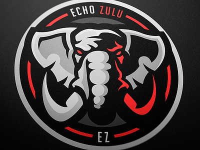 Echo Zulu sport logo branding esports logo logotype magic mascot logo sports logo