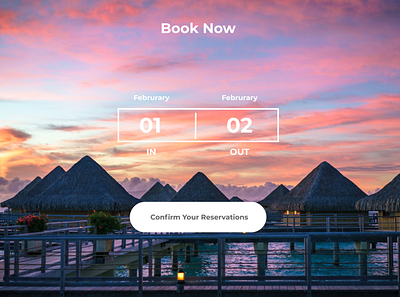 Hotel Booking Designs | Thems | Templates app book now bookings branding creativity design hotel booking illustration interactions logo typography ui ux vector