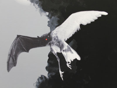Andrew Bird at stubbs andrew bird bat bird illustration poster