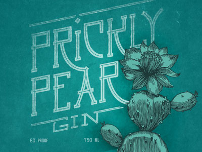 Prickly Pear Gin gin hand lettering typography illustration