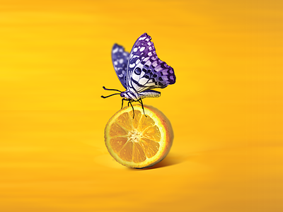 adjooce butterfly logo corporate id digital illustration lemon logo yellow logo