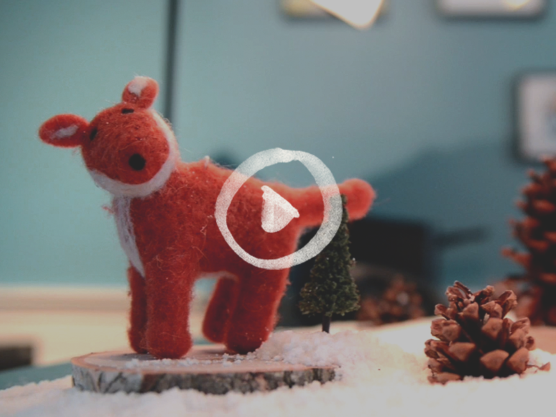 Nova Holiday Video by Visual Jams for Nova Creative on Dribbble