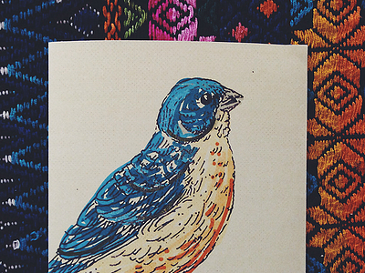 Bird Birthday Card bird birthday blue card paint vector vibrant