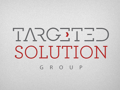 Targeted Solution Group logo gray illustration logo red type